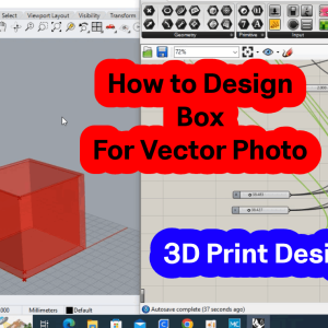 Template - Box for 3D Photo Vector - Adjust Any size Rhino
